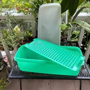 Vintage Tupperware #782-2 Jadeite Green Celery Bread Keeper w/Insert and Lid